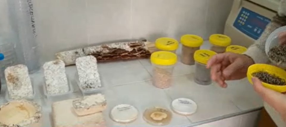 Революционен пробив в сферата на екологията учени от катедрата